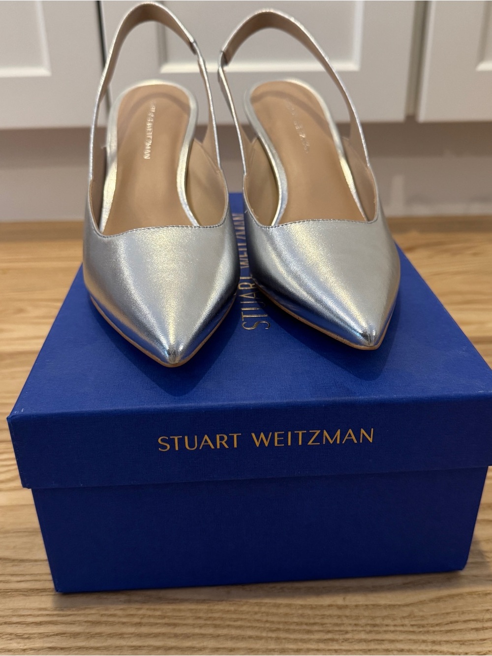 Stuart Weitzman Metallic Silver Pointed Slingback Heels